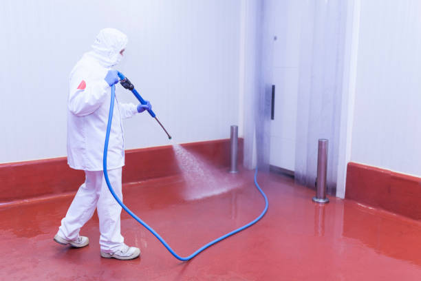 Best Patio and Deck Pressure Washing  in Carbondale, CO