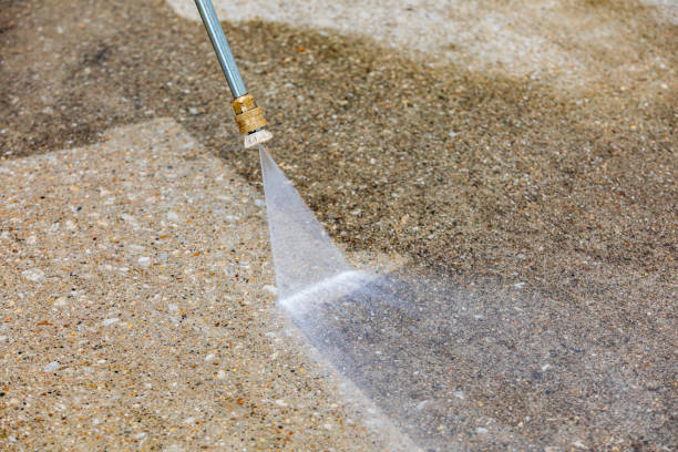 Best Concrete Sealing  in Carbondale, CO